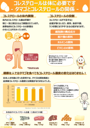 コレステロールは体に必要です